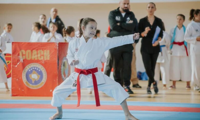 Photo of Në Skënderaj ka nisur turneu memorial i karates